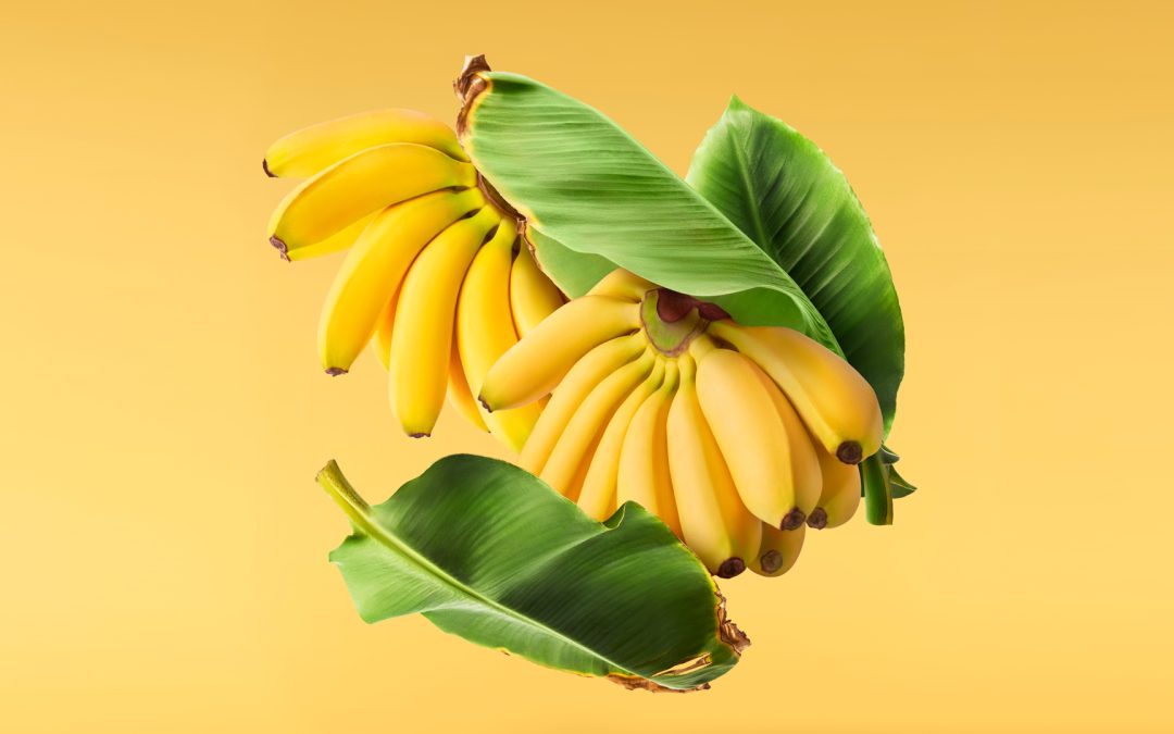 Are Bananas Halal?