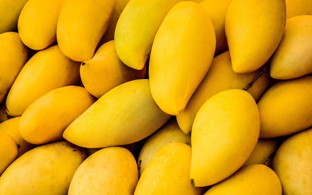 An Overview of Philippine Mangoes
