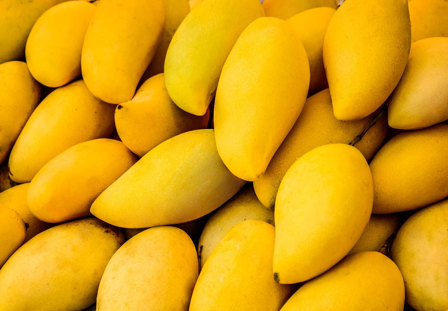 An Overview of Philippine Mangoes Food Philippines