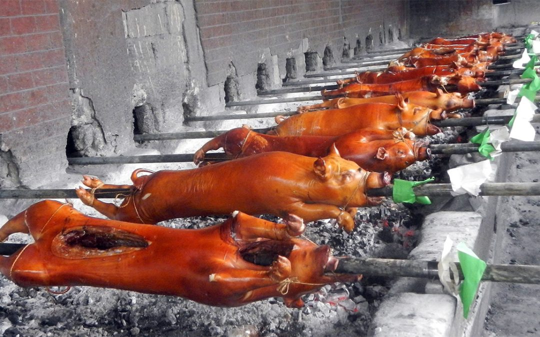 The range of roasted pigs in the Philippines