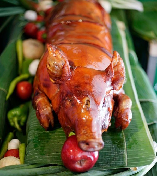 Learning about lechon